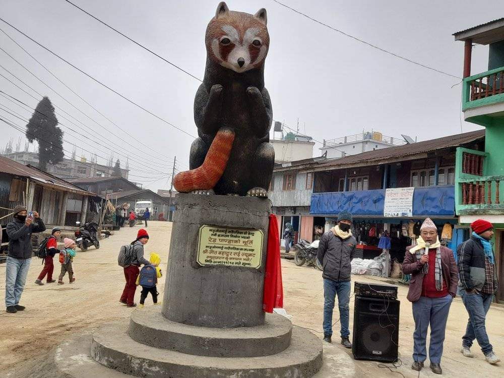 माइजोगमाईको ब्यापारिक केन्द्र नयाँबजारमा रेडपाण्डाको प्रतिमा