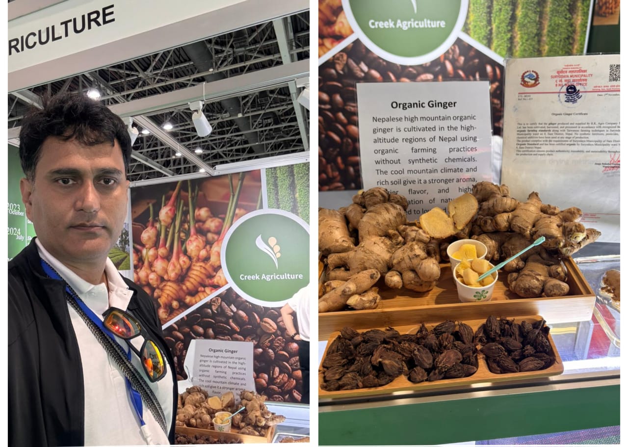 इलामको अदुवा दुवईको स्टलमा