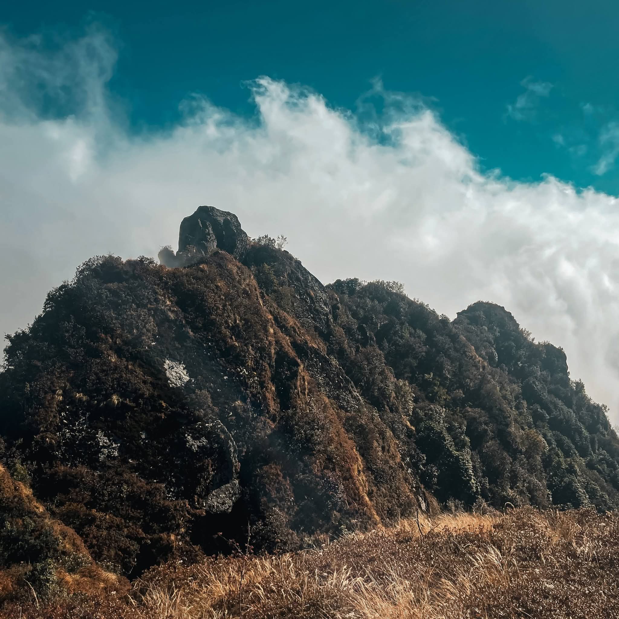 छिन्टापु: प्रकृतिसँगको एकान्त यात्रा ( फोटो फिचर )